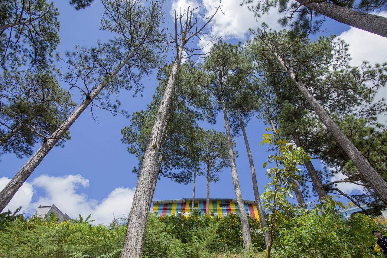 Icolor Dalat Hostel Exterior photo